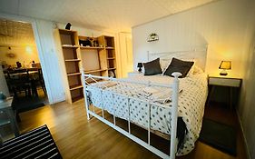 Chambre En Rez De Jardin